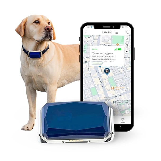 GPS Pet Tracker
